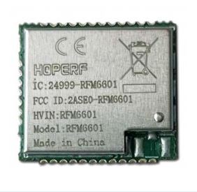 RFM6601SE-868S2R